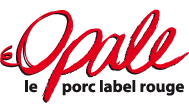 Logo Opale